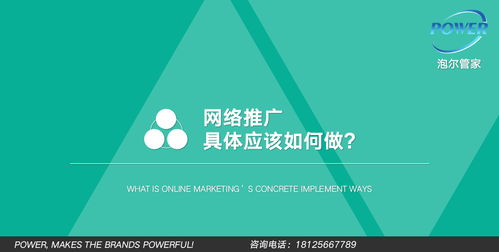 網(wǎng)絡(luò)推廣與網(wǎng)絡(luò)工程 策略、實(shí)施與優(yōu)化